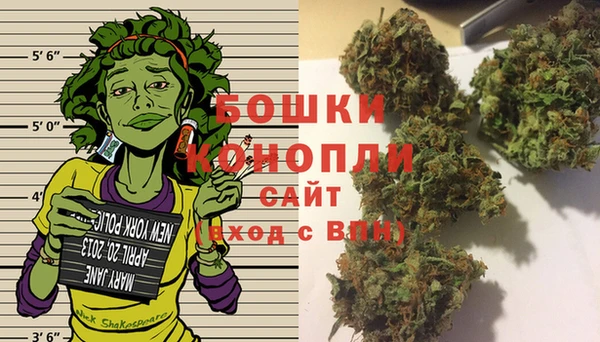 PSILOCYBIN Заводоуковск