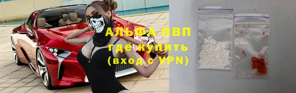 PSILOCYBIN Заводоуковск