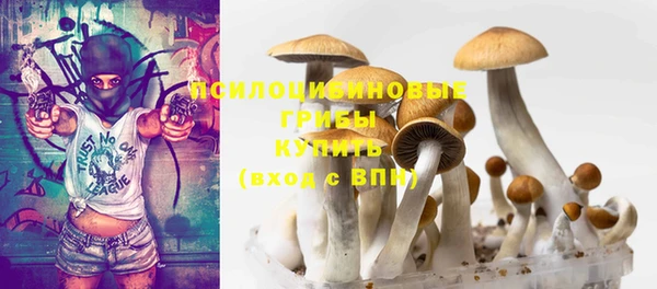 PSILOCYBIN Заводоуковск