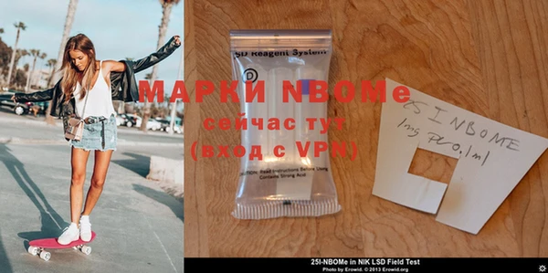 PSILOCYBIN Заводоуковск
